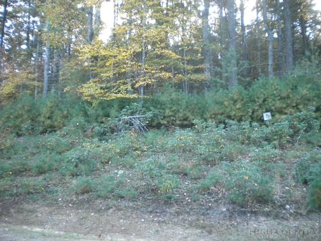 Lot 5 Pine Chase Property Photo 1