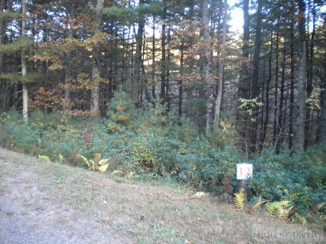 Lot 12 Pine Chase Property Photo 1