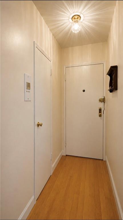1237 Avenue Z 5e Property Photo 9