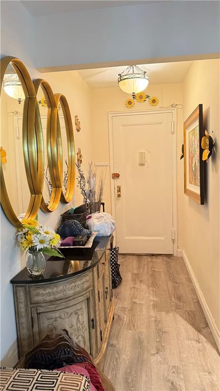 3655 Shore Parkway 2c Property Photo 5