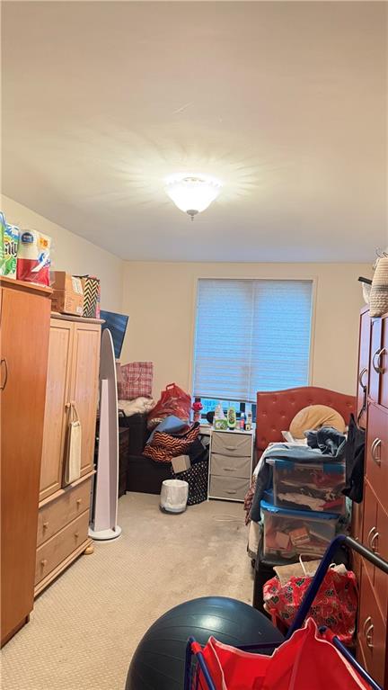 3655 Shore Parkway 2c Property Photo 11