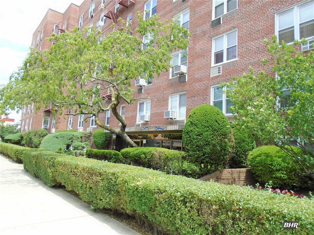 2265 Gerritsen Avenue 6s Property Photo 1