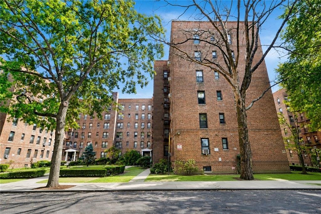 2435 Haring Street 4h Property Photo 20