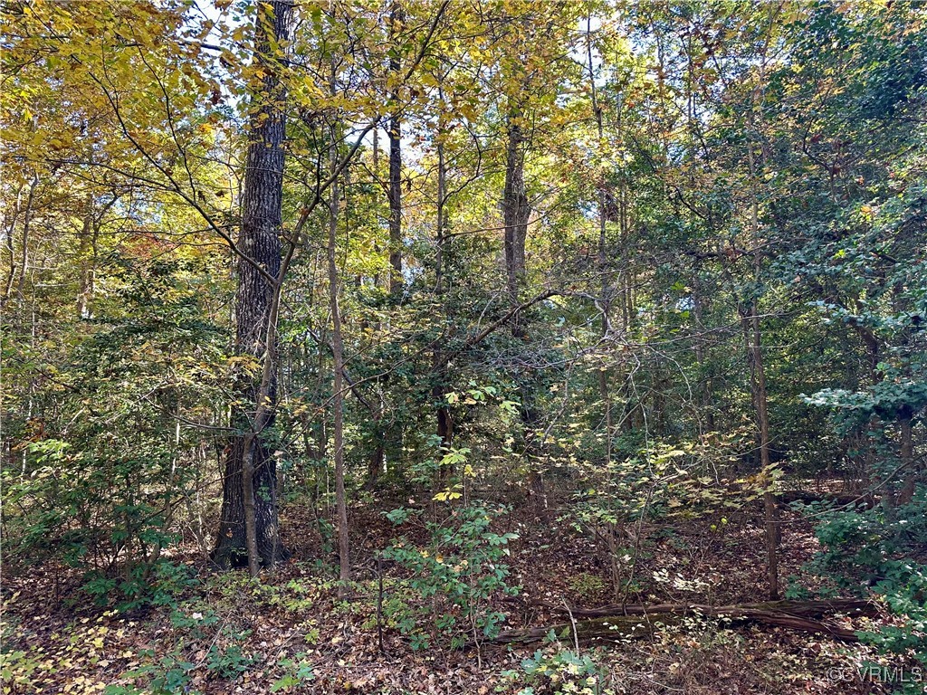 426 Coalfield Rd Property Photo 5