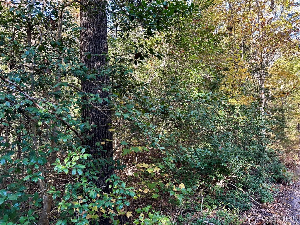 426 Coalfield Rd Property Photo 7
