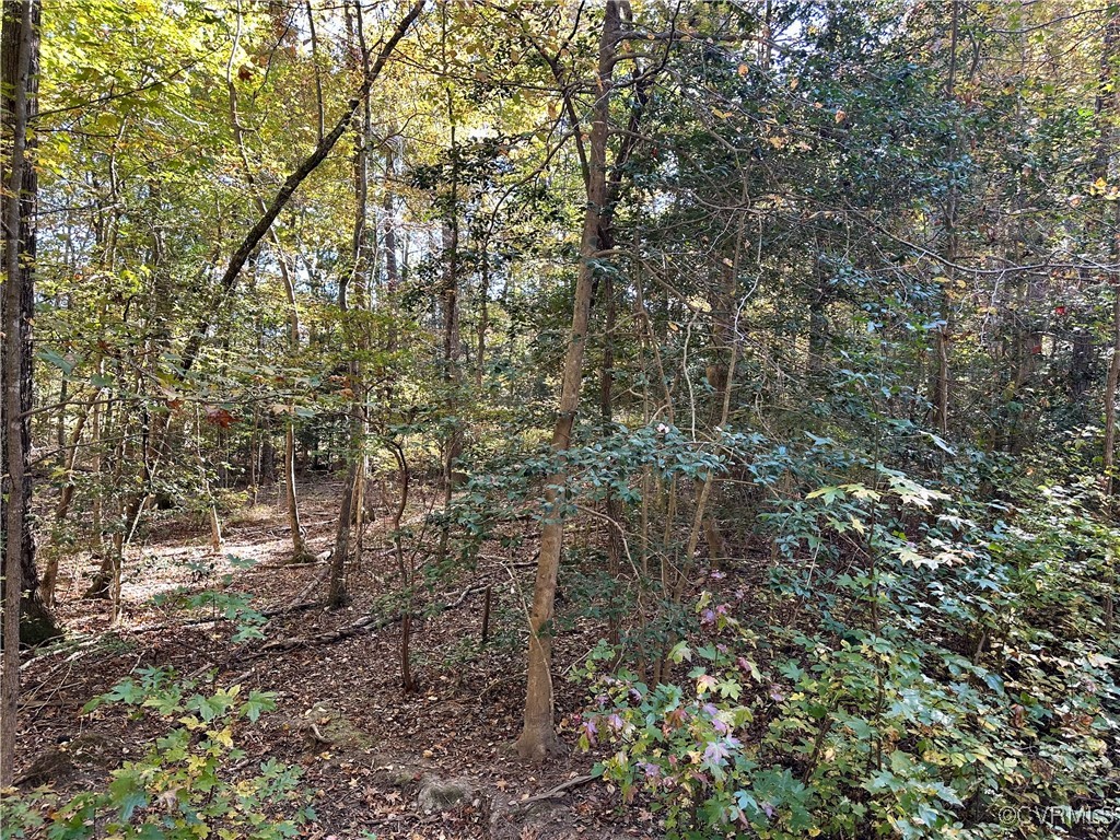 426 Coalfield Rd Property Photo 8