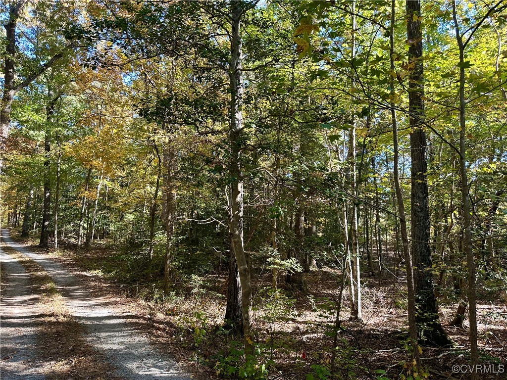 426 Coalfield Rd Property Photo 9