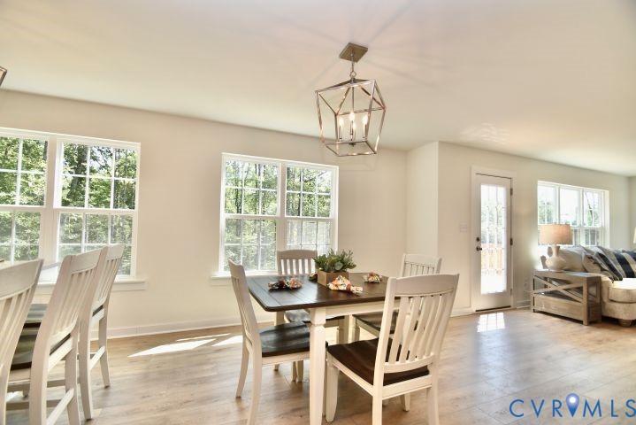54 Porkchop Court Property Photo 13