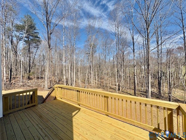 54 Porkchop Court Property Photo 15