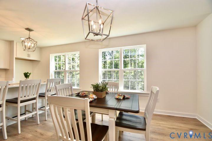54 Porkchop Court Property Photo 16