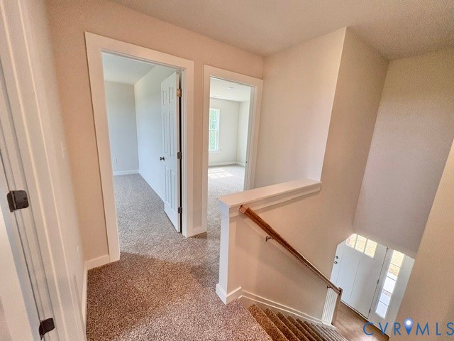 12 Derosa Ct Property Photo 21