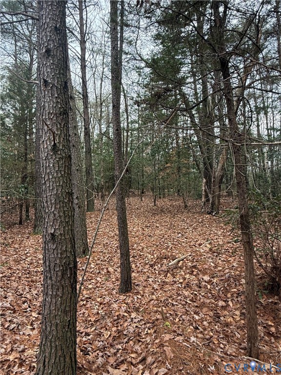 00 Whiting Creek Rd Property Photo 3