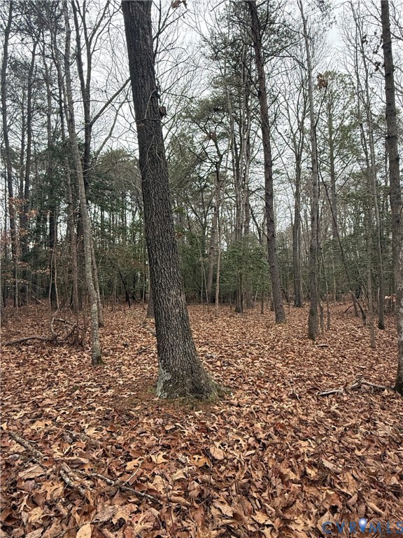00 Whiting Creek Rd Property Photo 4