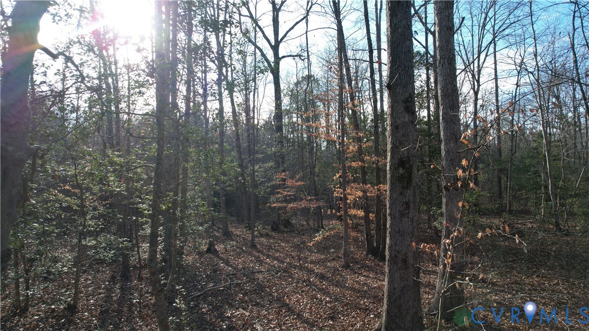 20825 Carson Rd Property Photo 16