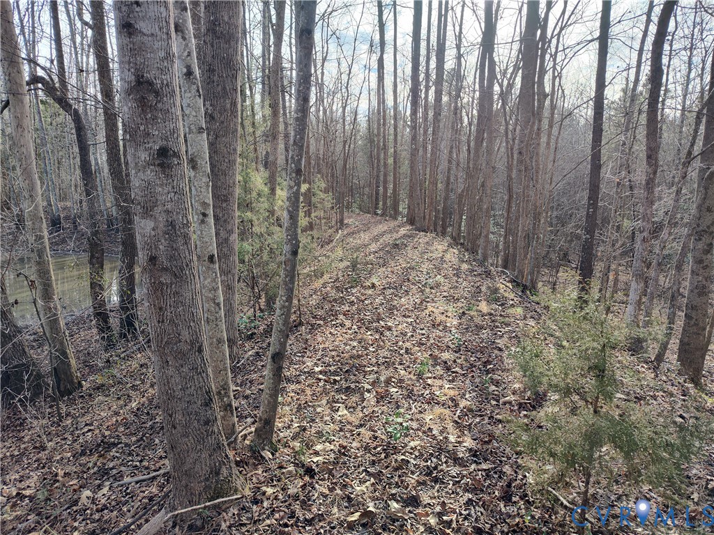 20825 Carson Rd Property Photo 26