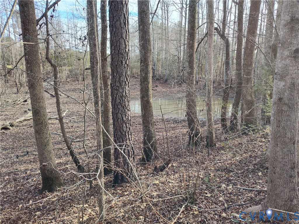 20825 Carson Rd Property Photo 27