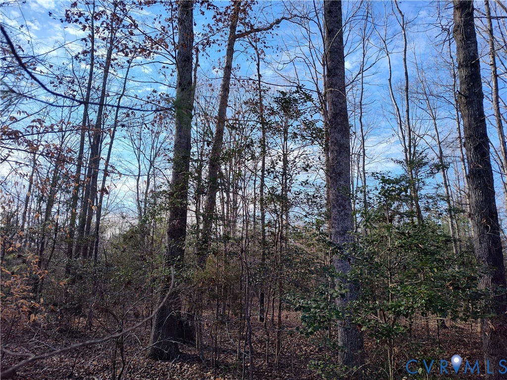 20825 Carson Rd Property Photo 35