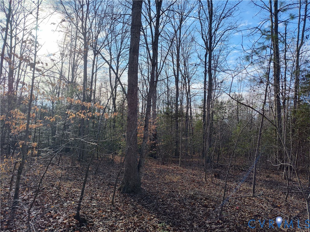 20825 Carson Rd Property Photo 36