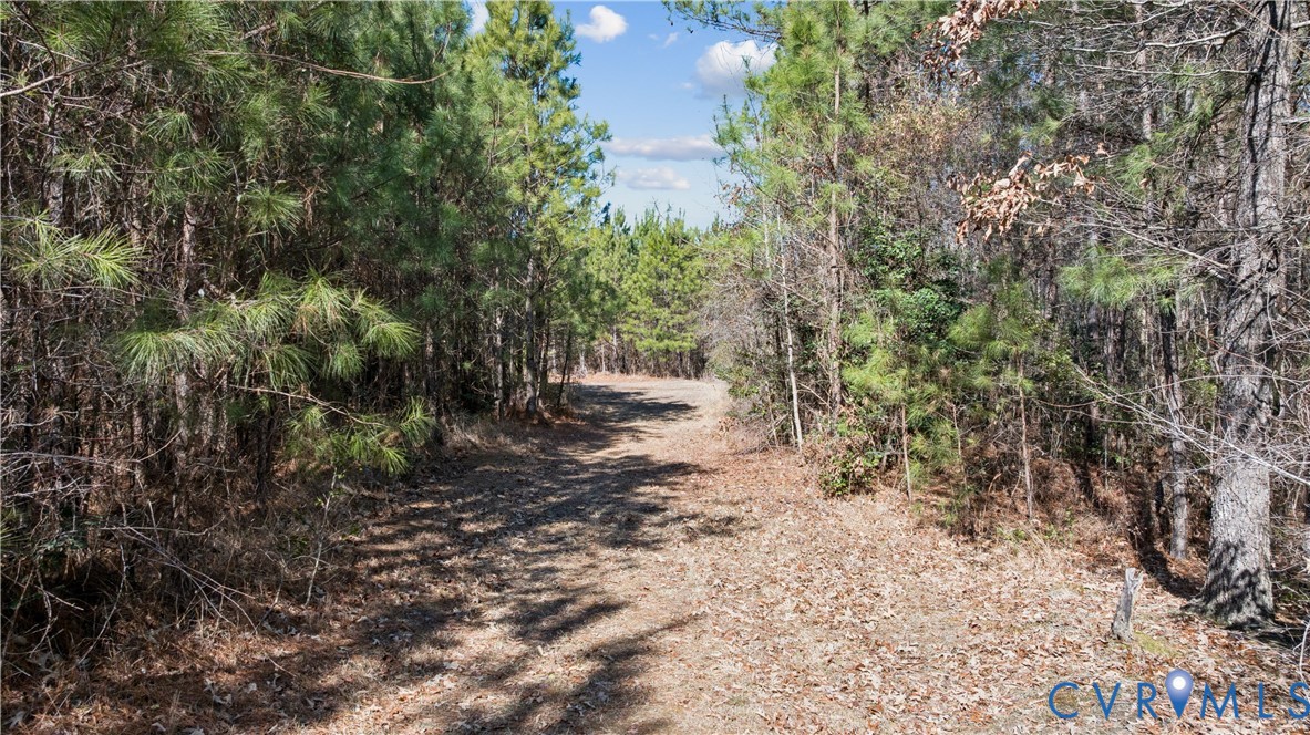 10445 Southampton Pky Property Photo 16