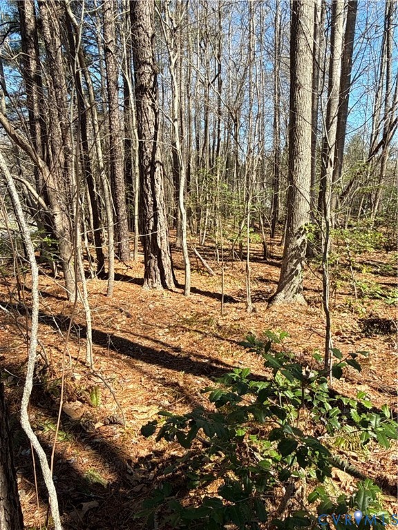 0 Pocahontas Trl Property Photo 15