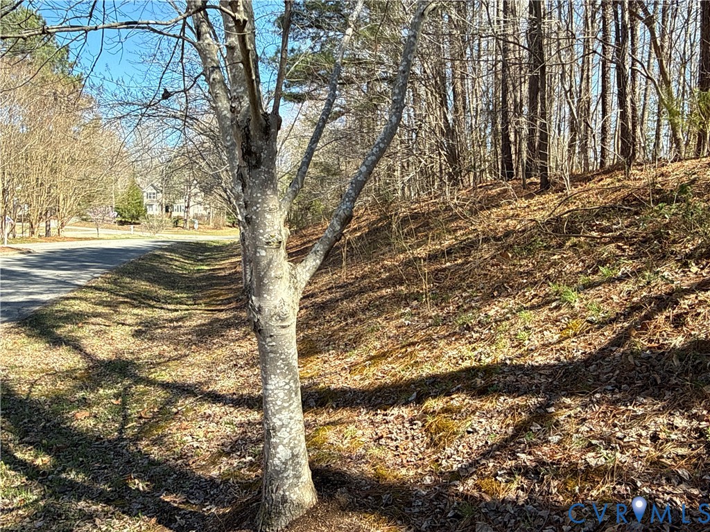 0 Pocahontas Trl Property Photo 16