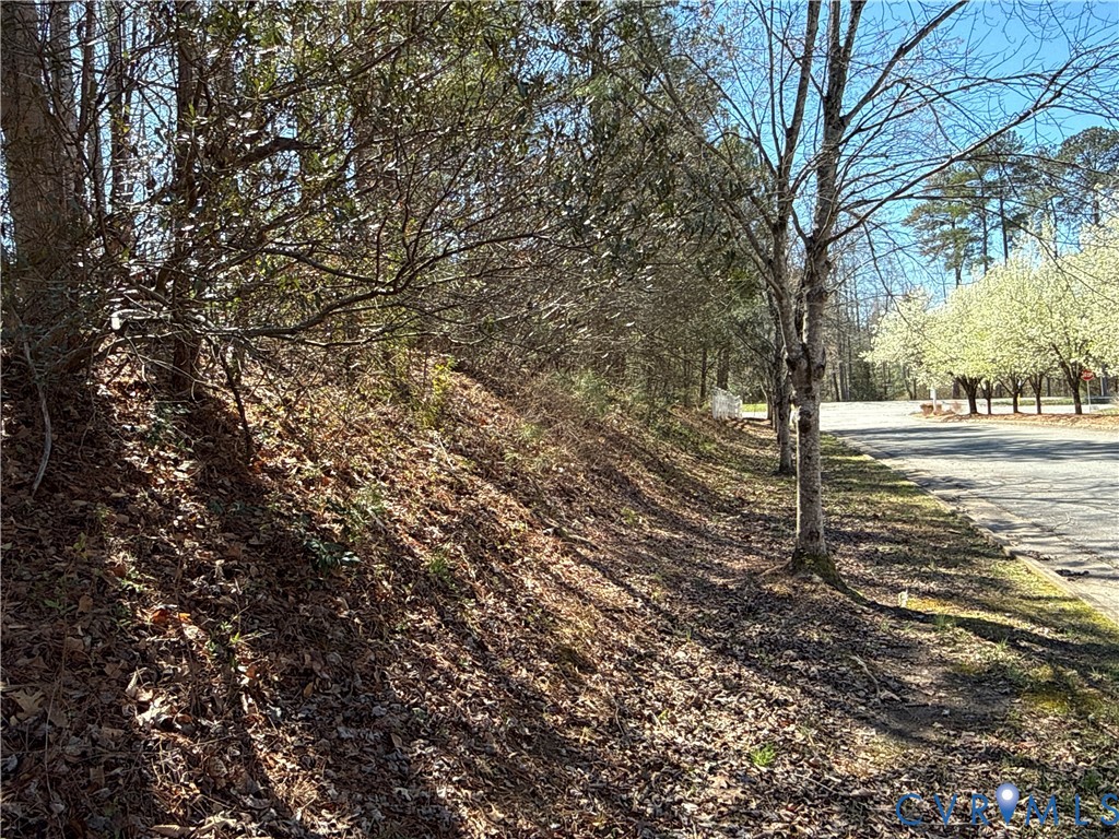0 Pocahontas Trl Property Photo 17