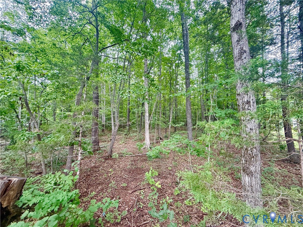 Lot 1 Forest Chapel Rd Property Photo 1