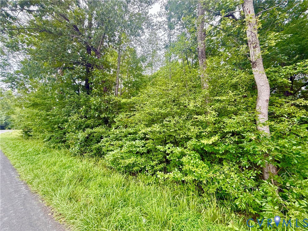 Lot 1 Forest Chapel Rd Property Photo 3