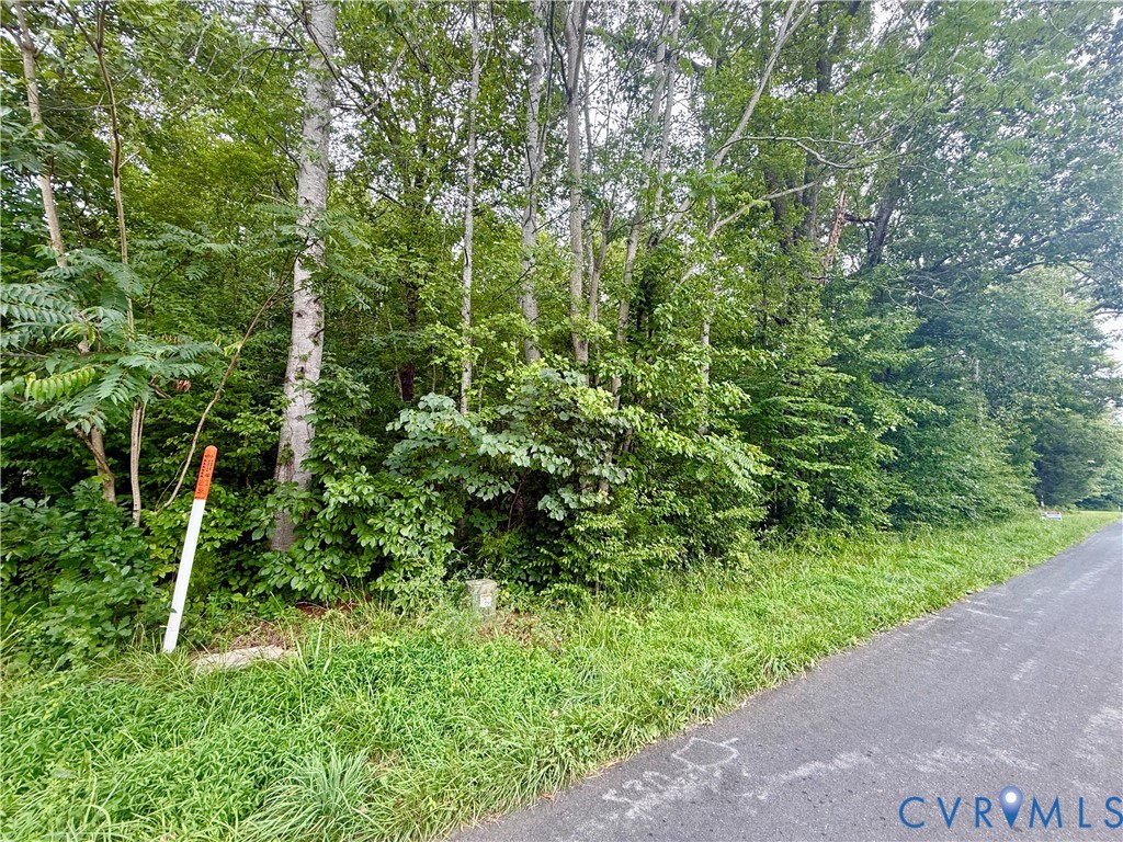 Lot 1 Forest Chapel Rd Property Photo 4