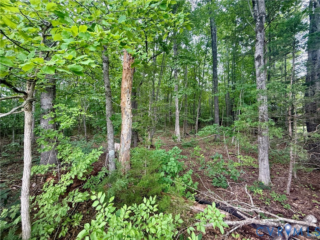 Lot 1 Forest Chapel Rd Property Photo 5