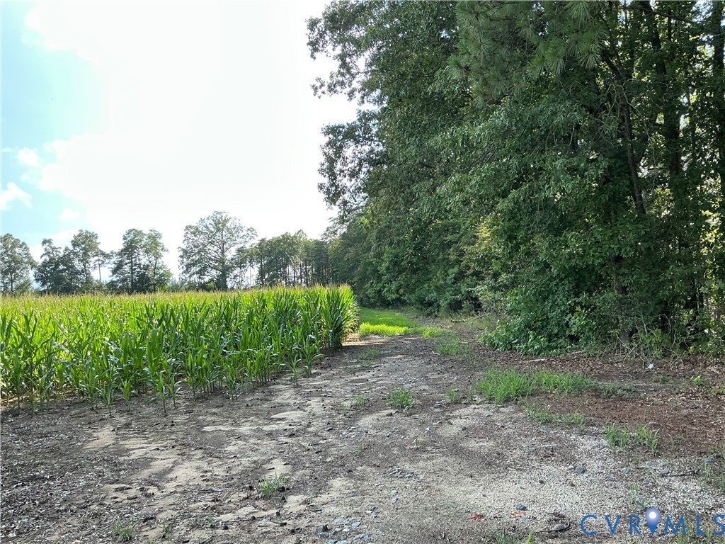 00 Fortune (26 Acres) Dr Property Photo 3