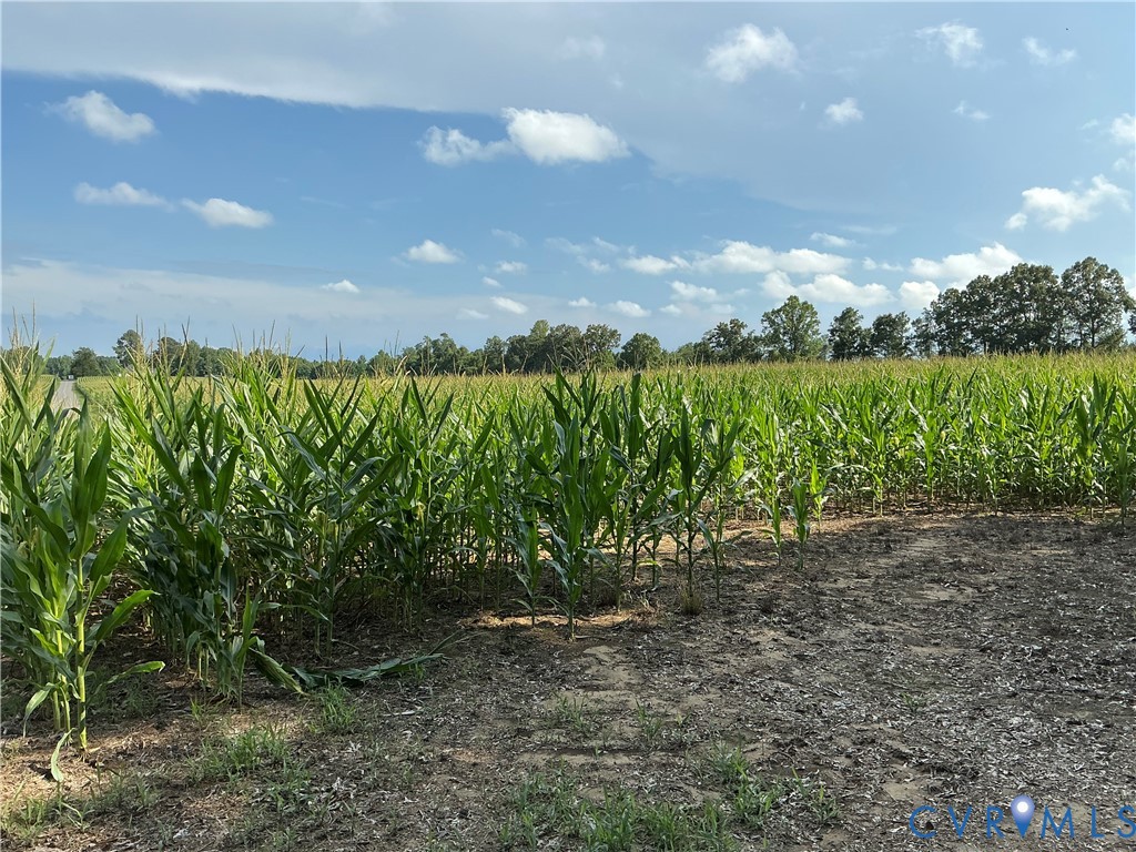 00 Fortune (26 Acres) Dr Property Photo 4