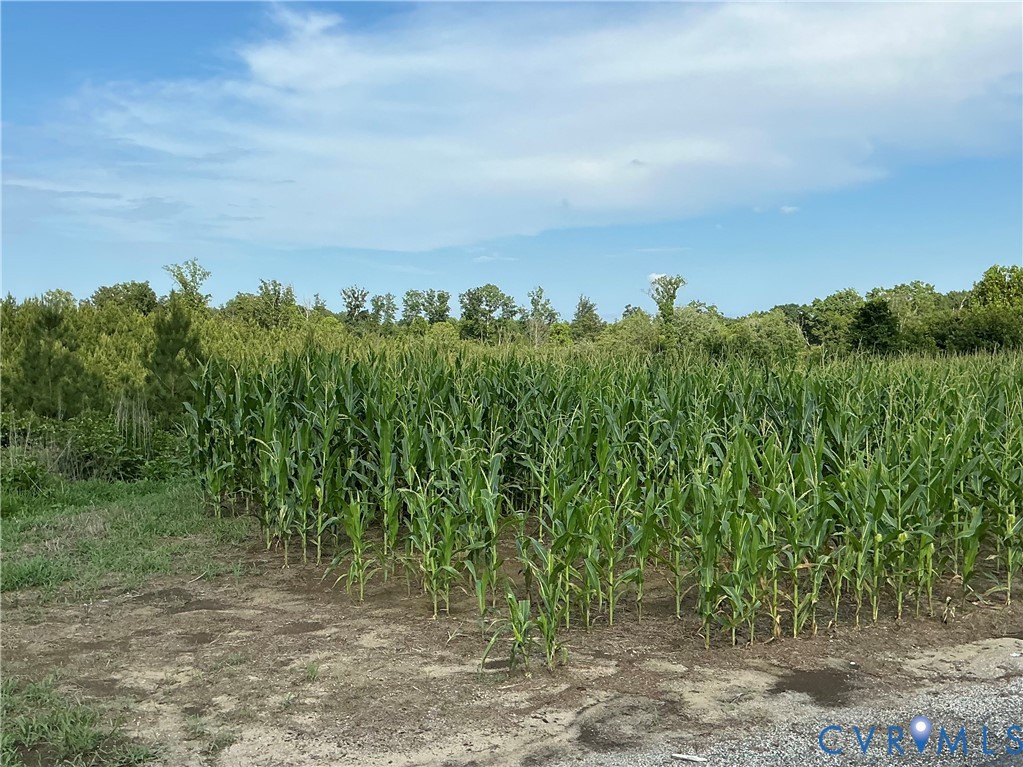 00 Fortune (26 Acres) Dr Property Photo 6
