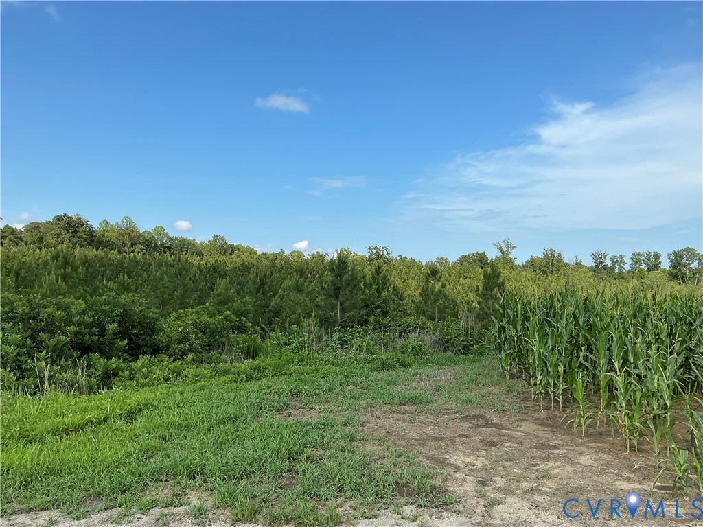 00 Fortune (26 Acres) Dr Property Photo 7