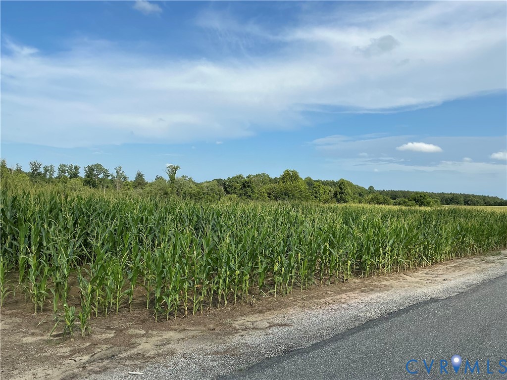 00 Fortune (26 Acres) Dr Property Photo 8