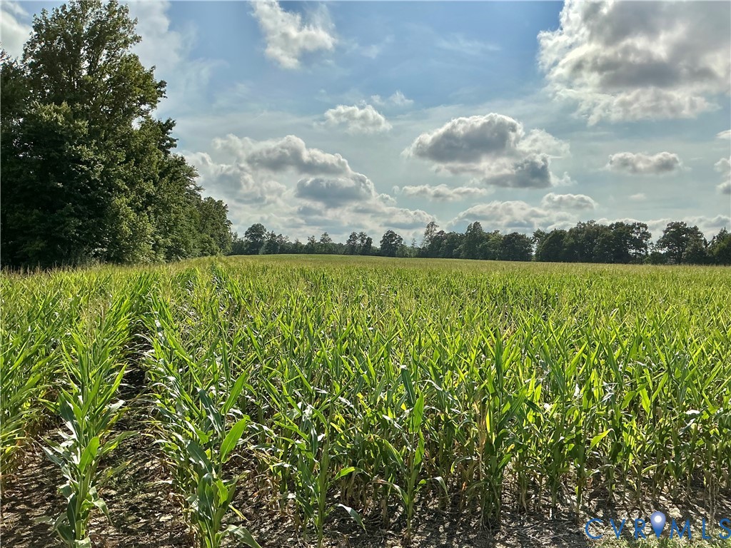 00 Fortune (26 Acres) Dr Property Photo 10