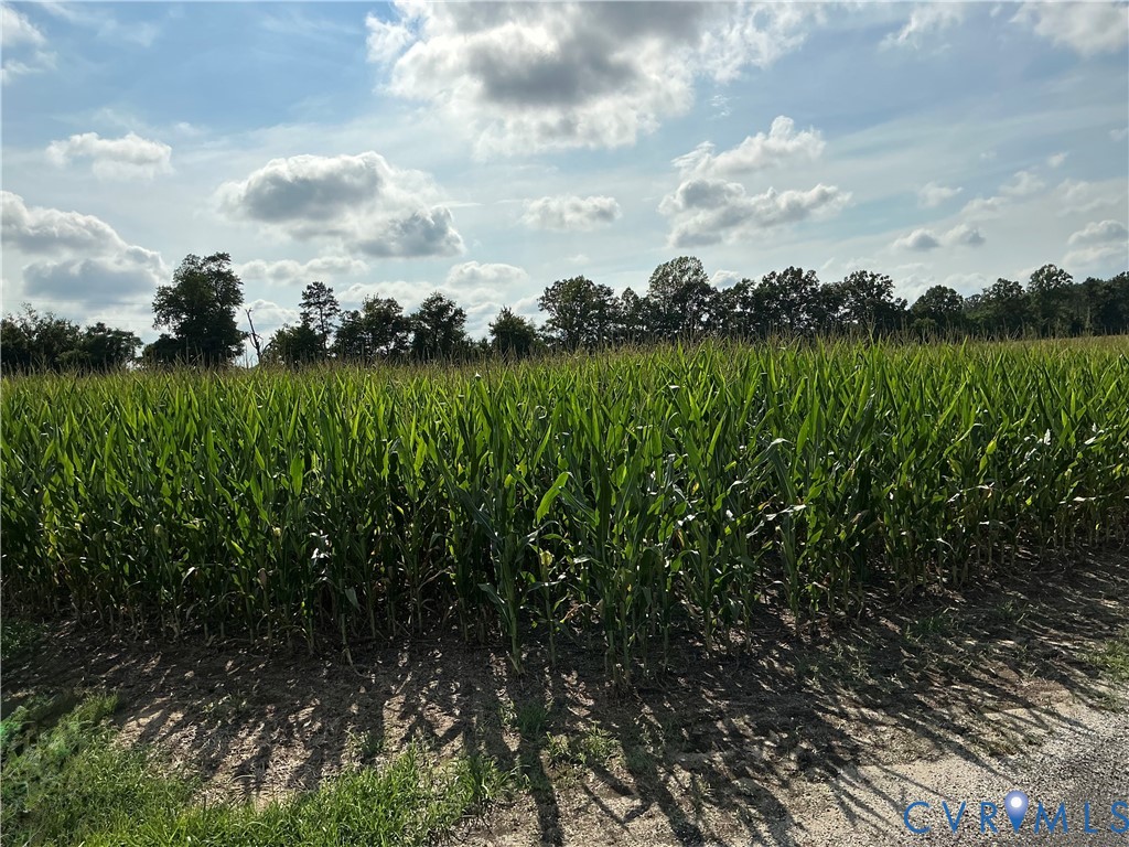 00 Fortune (26 Acres) Dr Property Photo 11