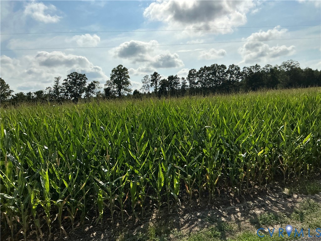 00 Fortune (26 Acres) Dr Property Photo 13