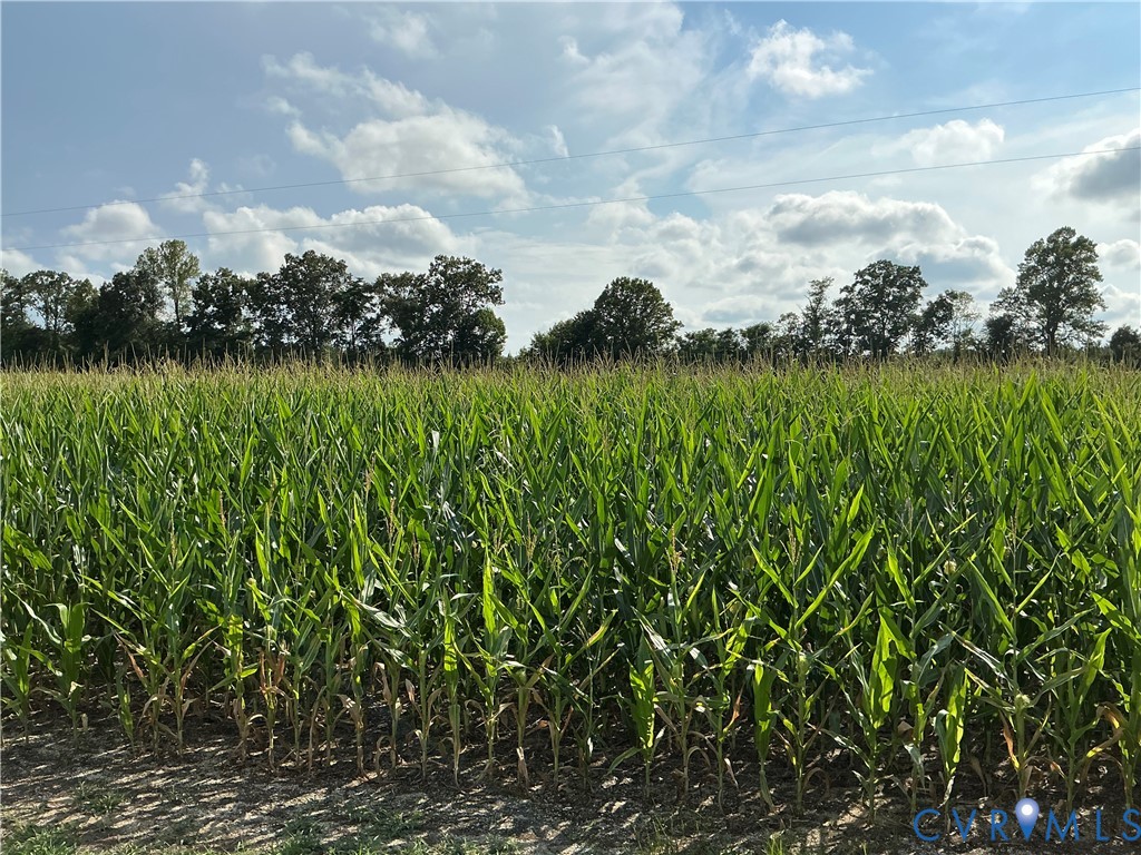 00 Fortune (26 Acres) Dr Property Photo 14
