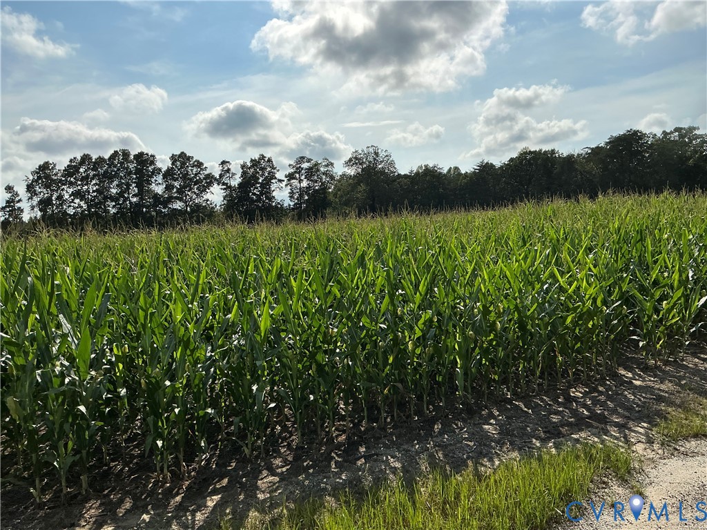 00 Fortune (26 Acres) Dr Property Photo 15