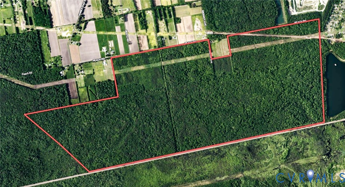 663.8 Acres Peach Road Property Photo 2