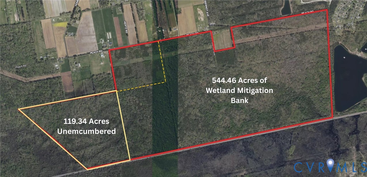663.8 Acres Peach Road Property Photo 3