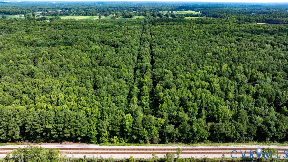 663.8 Acres Peach Road Property Photo 4