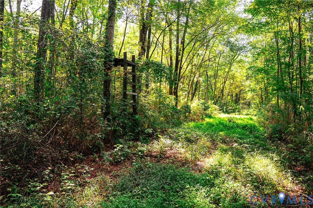 663.8 Acres Peach Road Property Photo 6