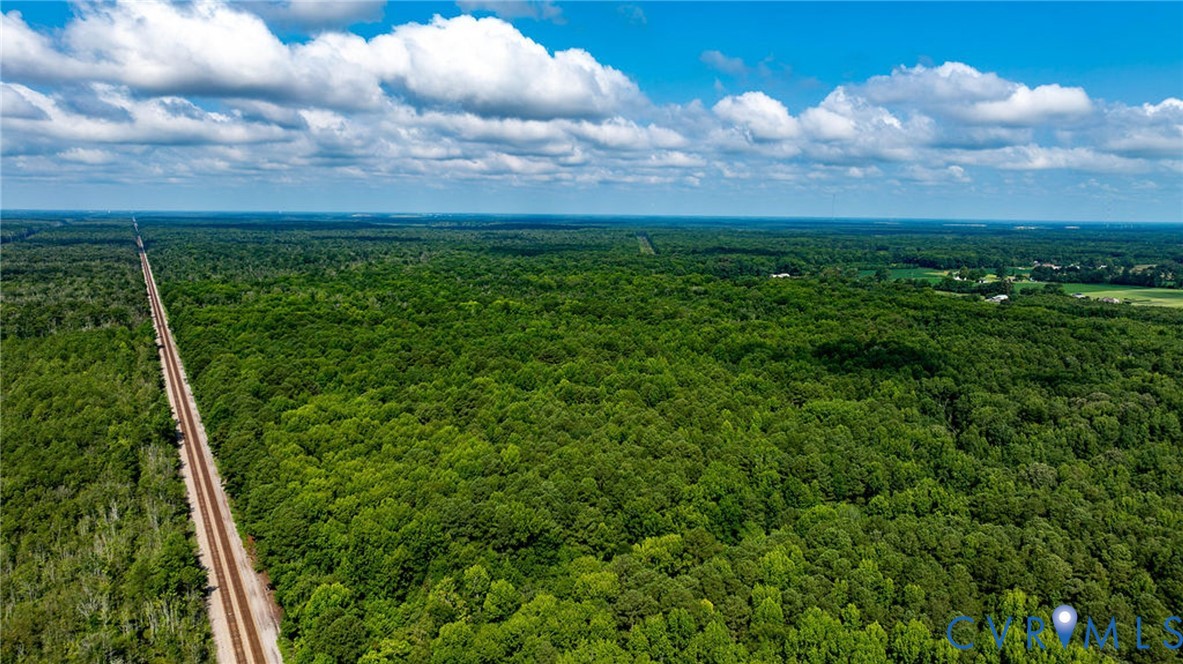 663.8 Acres Peach Road Property Photo 7
