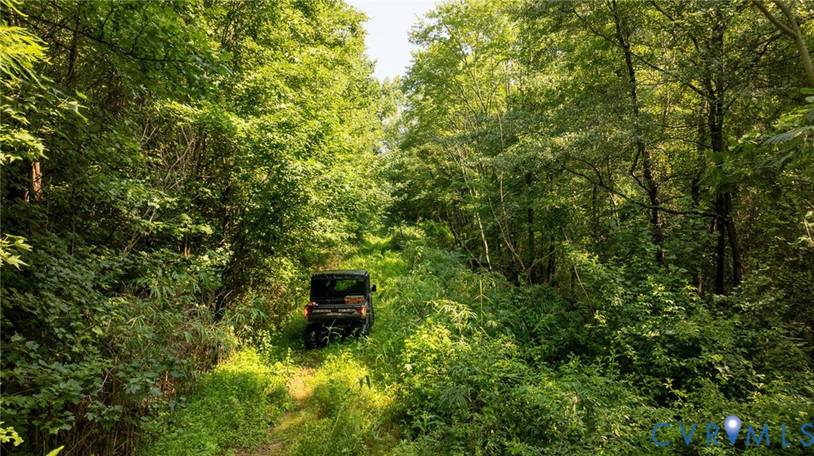 663.8 Acres Peach Road Property Photo 8