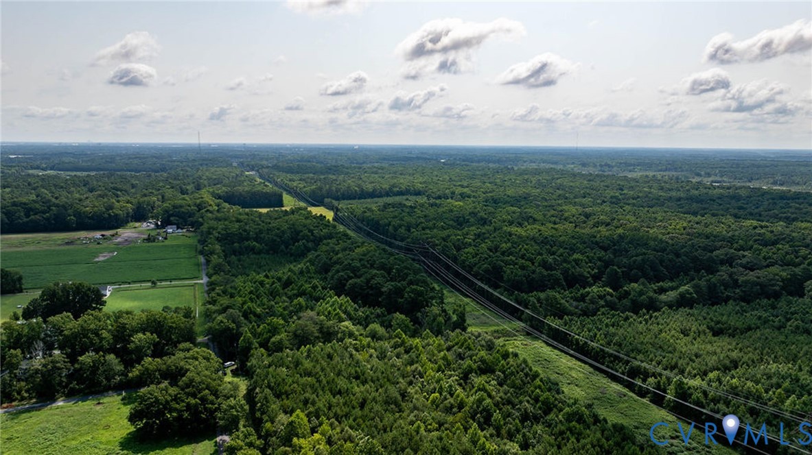 663.8 Acres Peach Road Property Photo 11