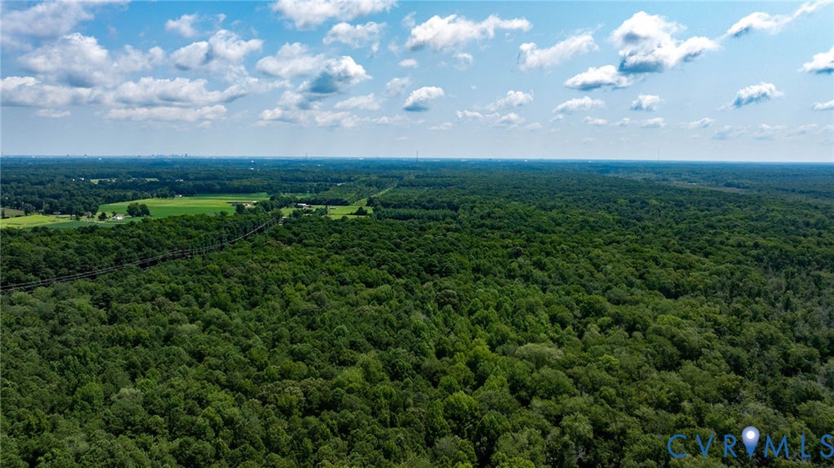 663.8 Acres Peach Road Property Photo 17