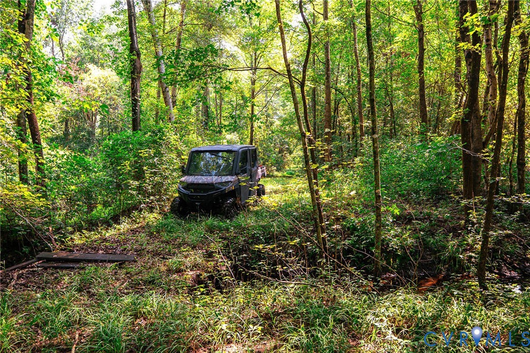 663.8 Acres Peach Road Property Photo 18