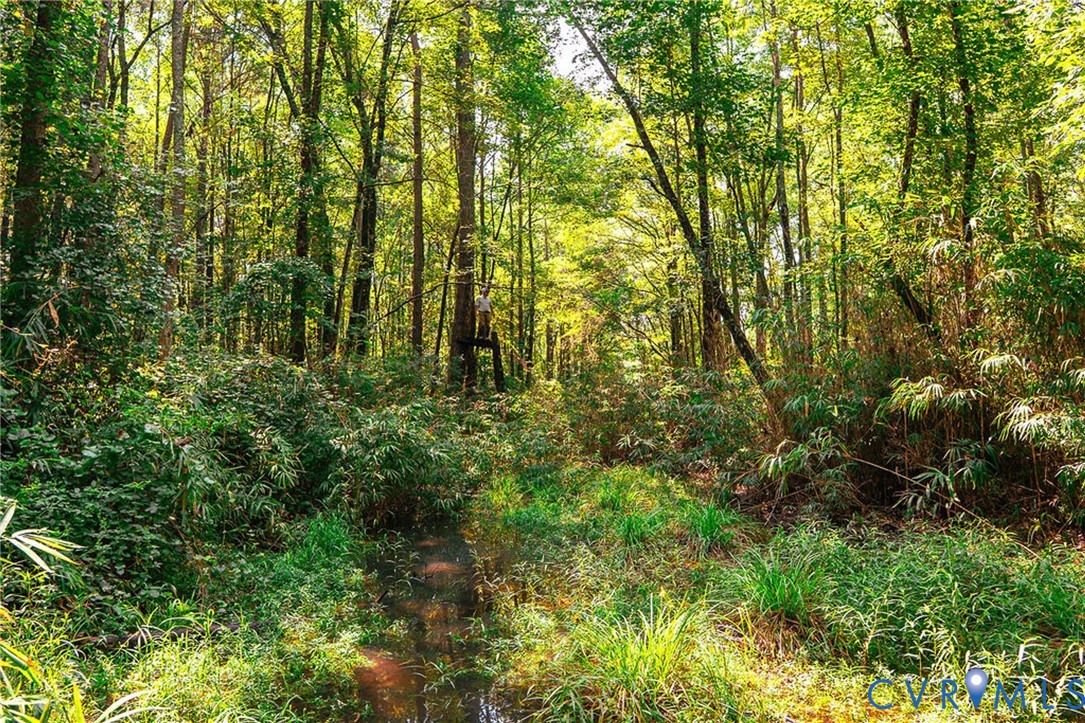663.8 Acres Peach Road Property Photo 19